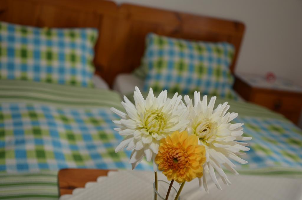 Hotel Haus Dachstein Schnitzer Eben Im Pongau Zimmer foto